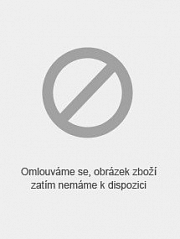 Obálka knihy: Hrubá mezihra